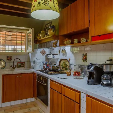 Agave 8, Emma Villa Monteciccardo