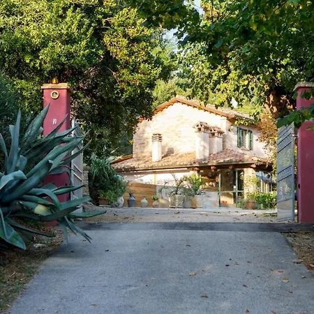 Agave 8, Emma *